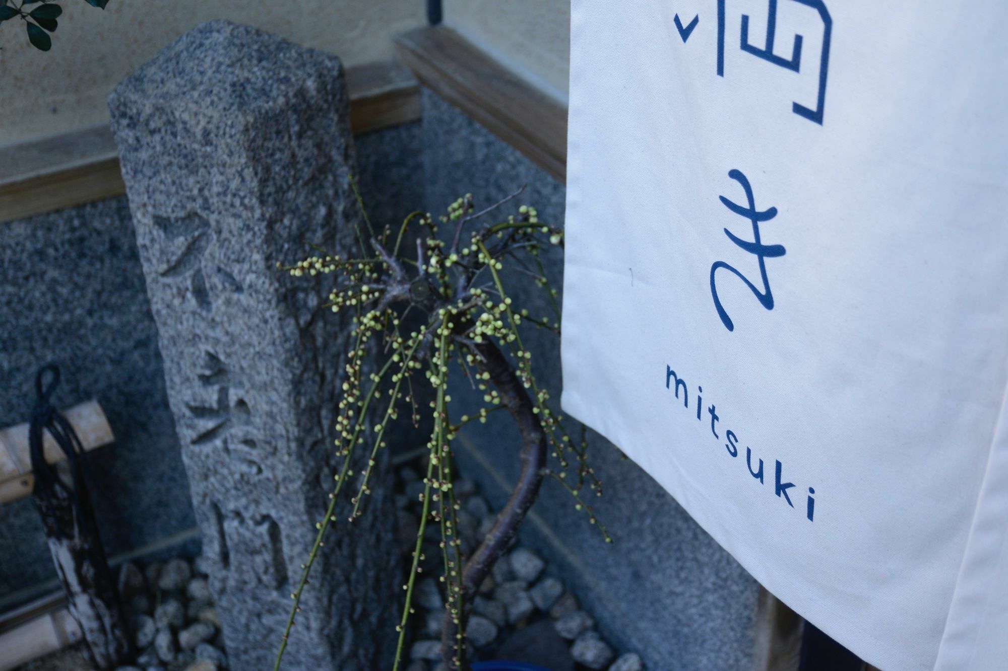 Hotel Mitsuki Kyoto Extérieur photo