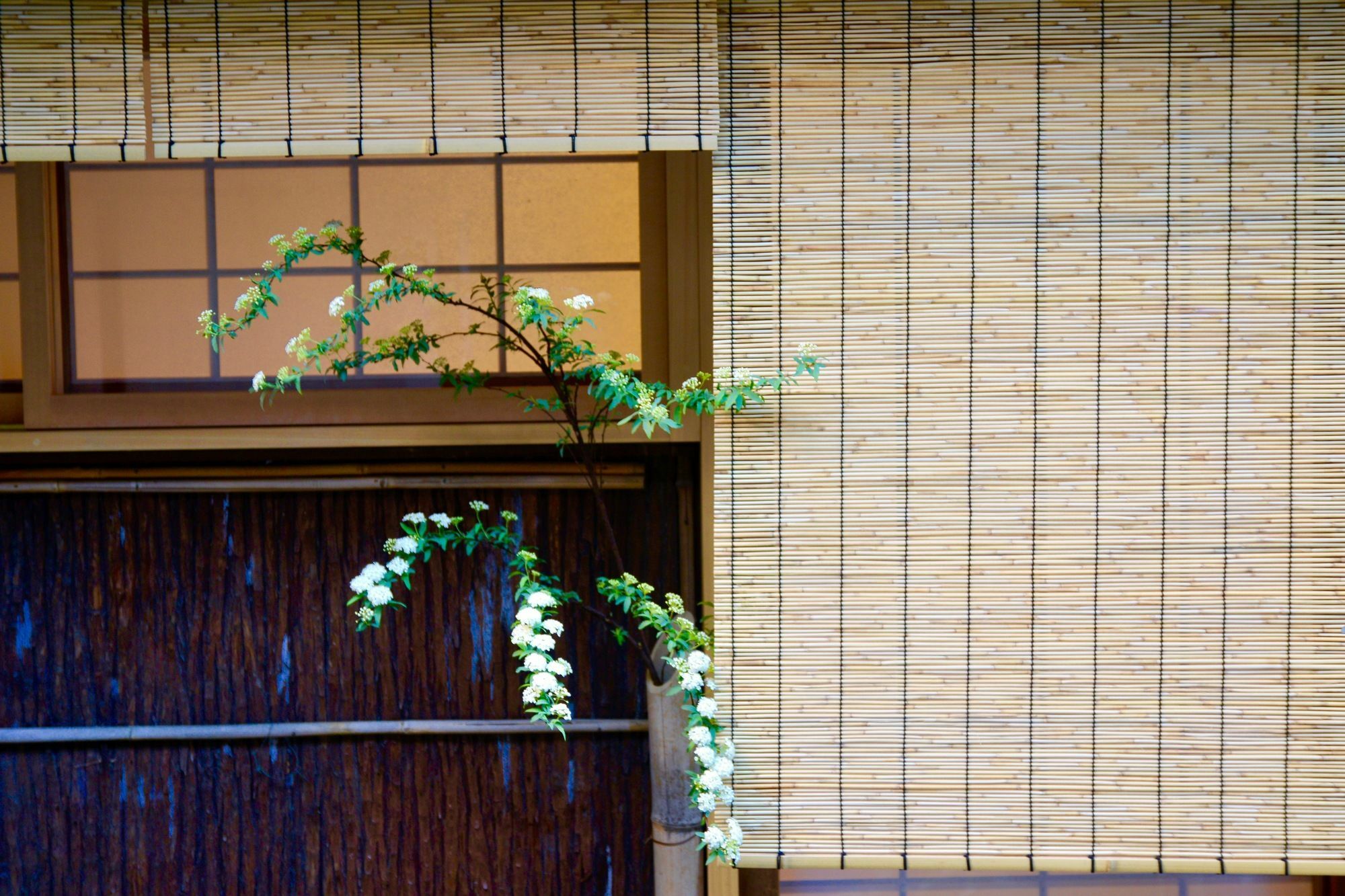 Hotel Mitsuki Kyoto Extérieur photo