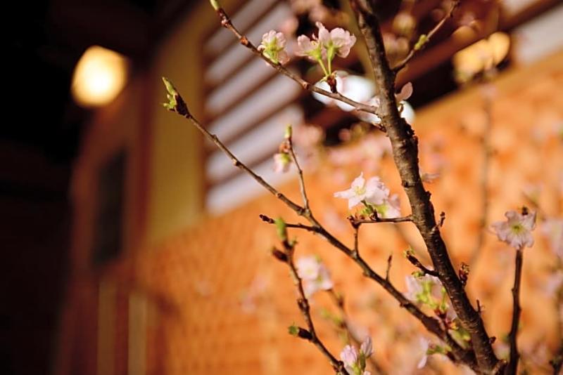 Hotel Mitsuki Kyoto Extérieur photo